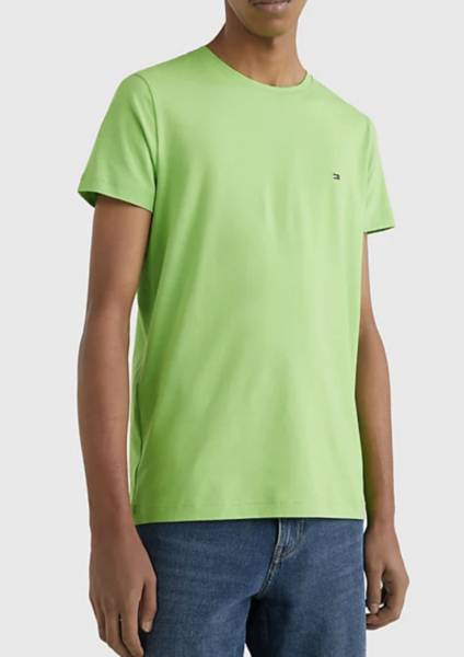 T-shirt vert pour homme Tommy Hilfiger pour homme à Lyon